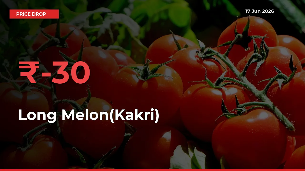 Long Melon(Kakri) Prices Drop 30.38% – June 17 Market Update from Mandis
