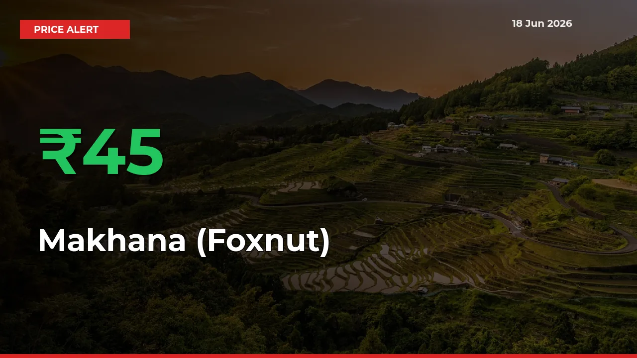 Big Rally! Makhana (Foxnut) Climbs 45.22% in 24 Hours at Top Mandis