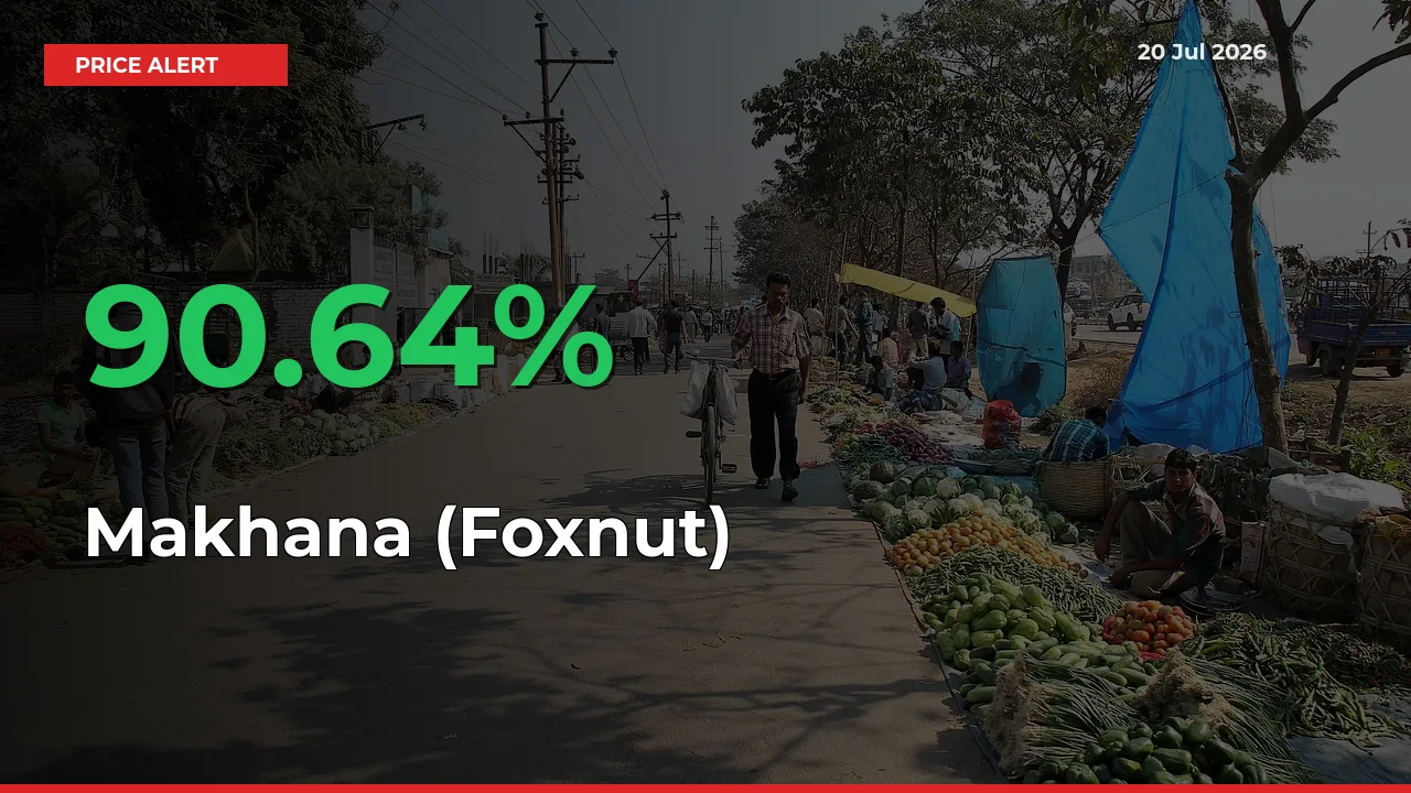 Makhana (Foxnut) Prices Rise 90.64% in a Day at Major Mandis