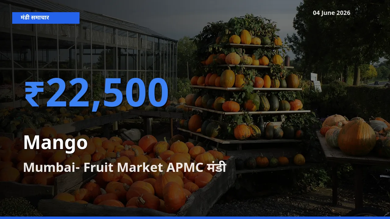Mumbai- Fruit Market APMC मंडी में आम ₹22,500 पर पहुँचा – आज का सर्वोच्च भाव