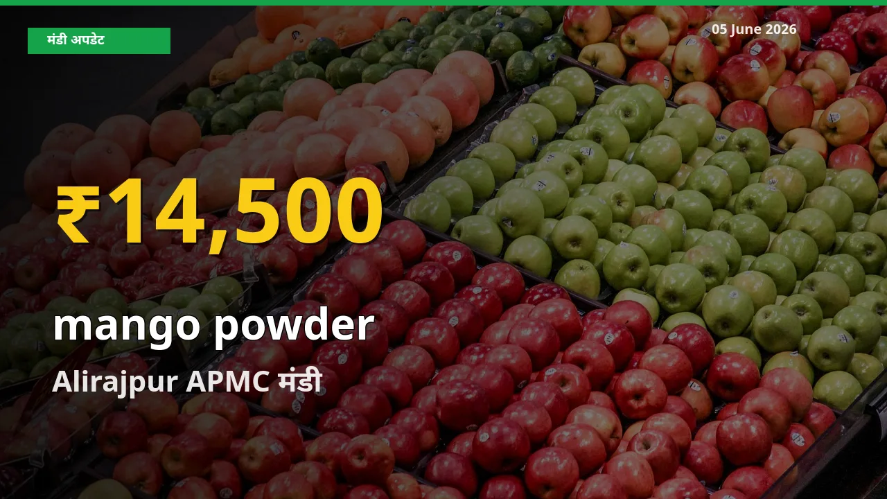 Alirajpur APMC में अमचूर पाउडर ₹14,500 पर पहुँचा – अब तक का उच्चतम भाव