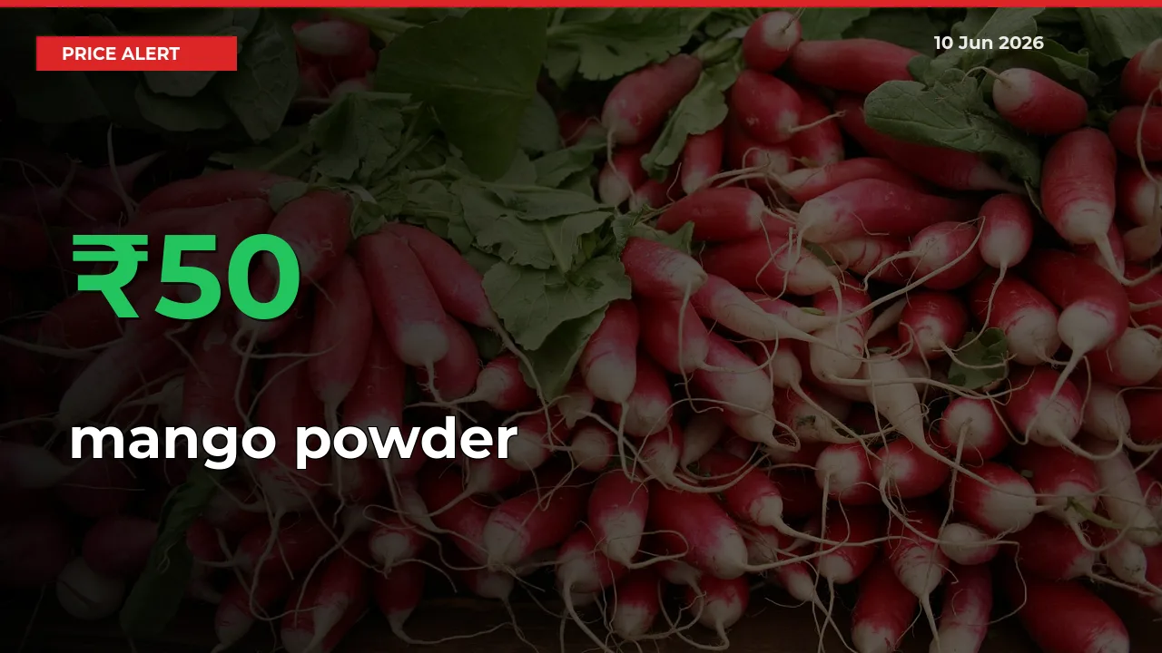 mango powder Rises 49.71% at Mandis