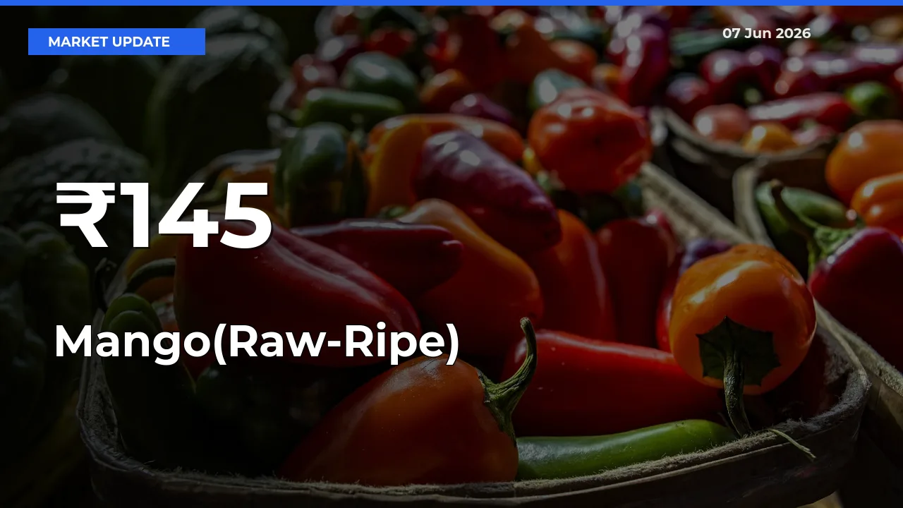 Mango(Raw-Ripe) Mandi Prices Move in Sync Across Major Markets Today