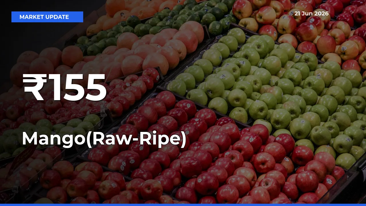 Mango(Raw-Ripe) Mandi Trend Today: Prices Shift Across Multiple Markets