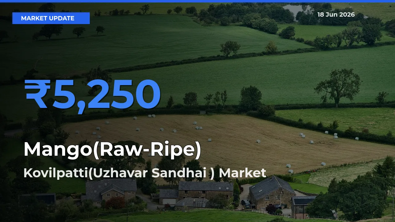Kovilpatti(Uzhavar Sandhai ) Tops Mango(Raw-Ripe) Mandi Rates Today