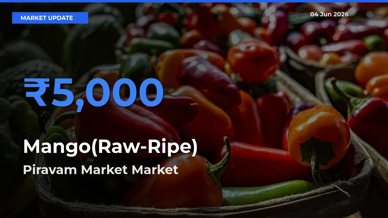 Piravam Market Offers ₹5,000 – Highest Mango(Raw-Ripe) Rate Today