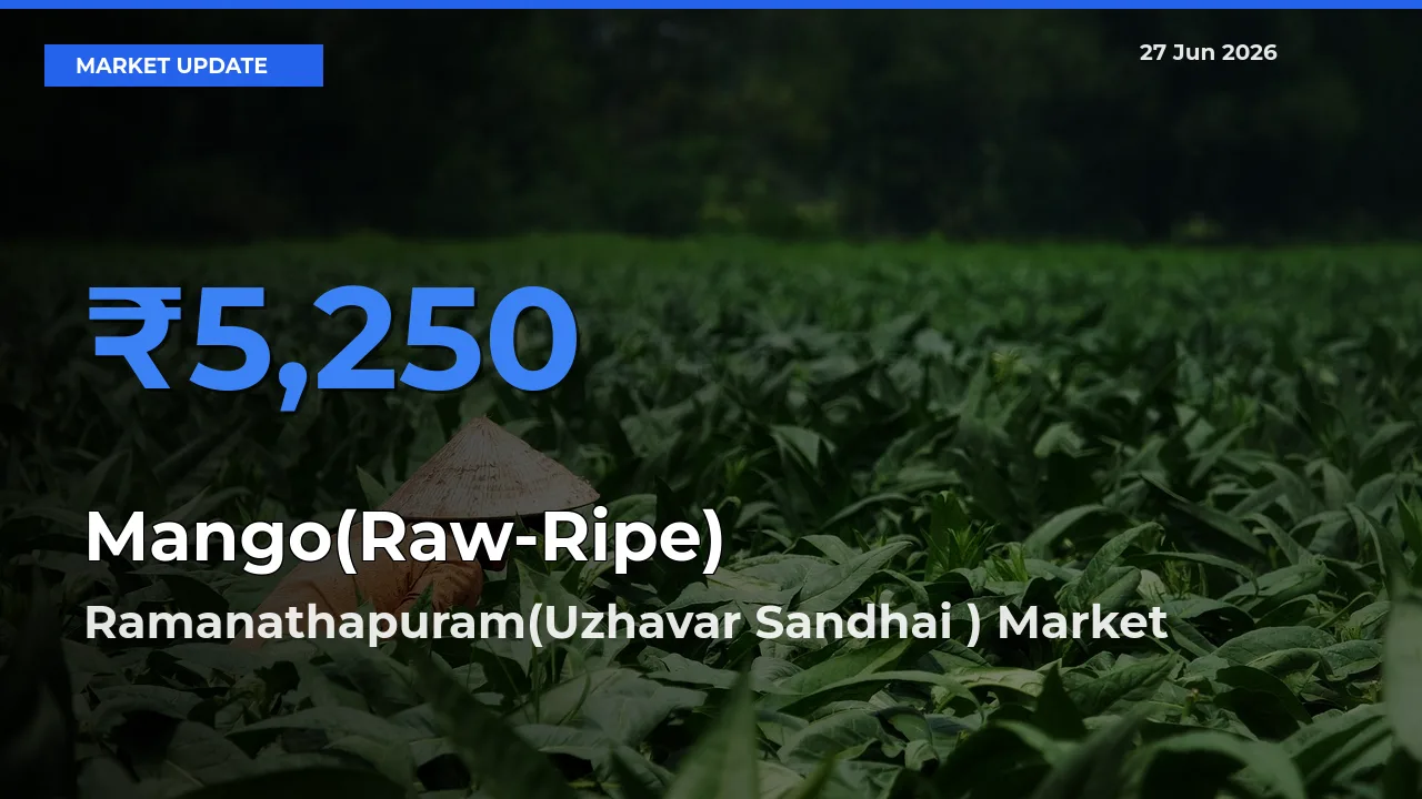 Farmers Prefer Ramanathapuram(Uzhavar Sandhai ) as Mango(Raw-Ripe) Hits Highest Rate