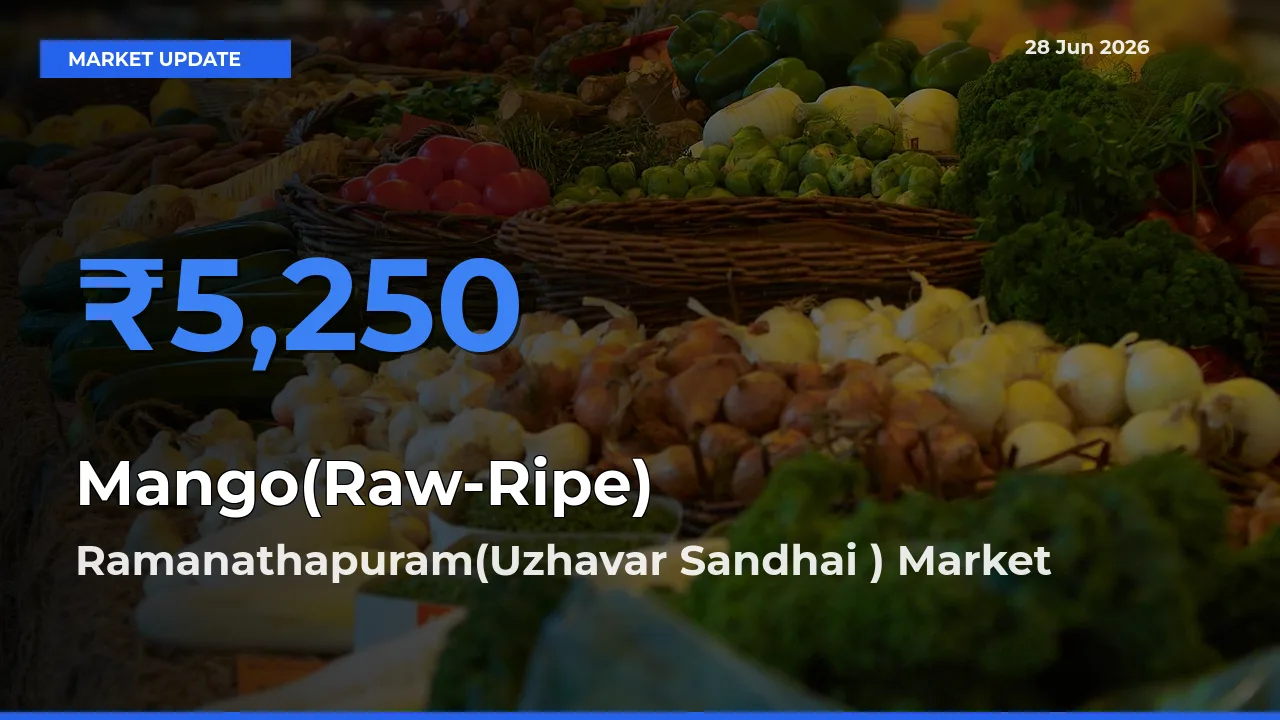 Ramanathapuram(Uzhavar Sandhai ) Tops Mango(Raw-Ripe) Rates – June 28 Market Update