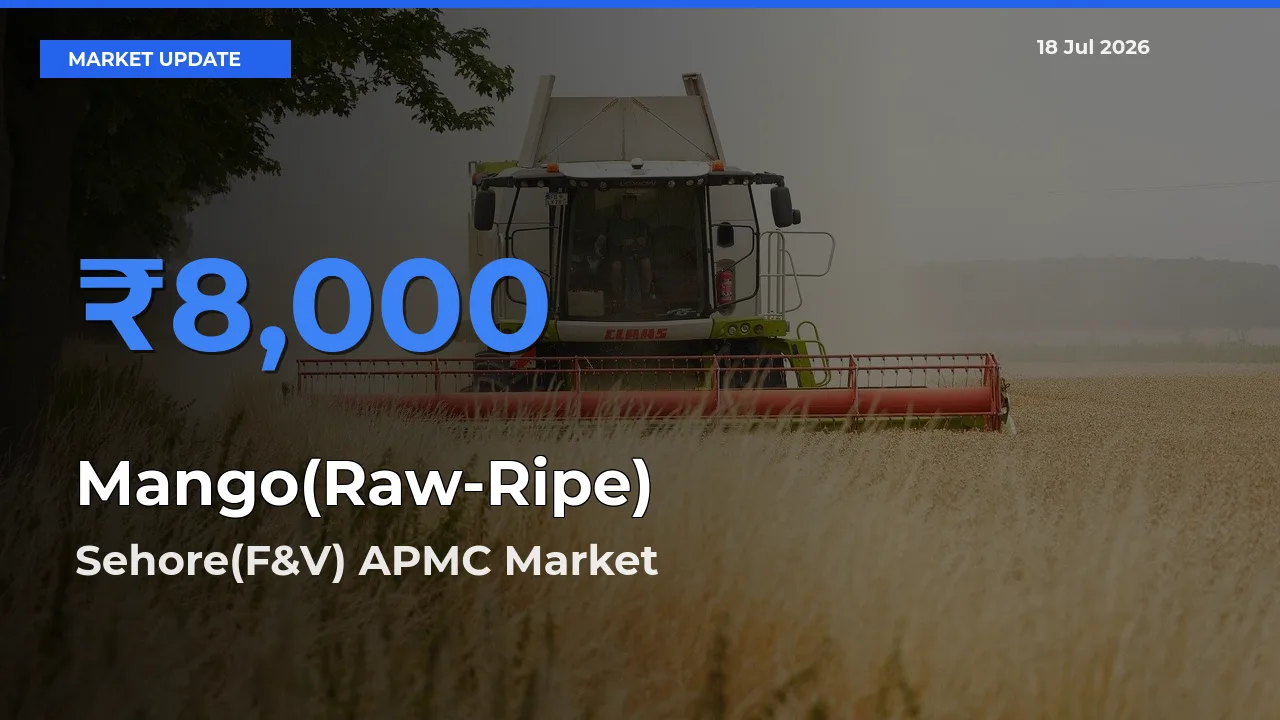 Sehore(F&V) APMC Tops Mango(Raw-Ripe) Mandi Rates Today