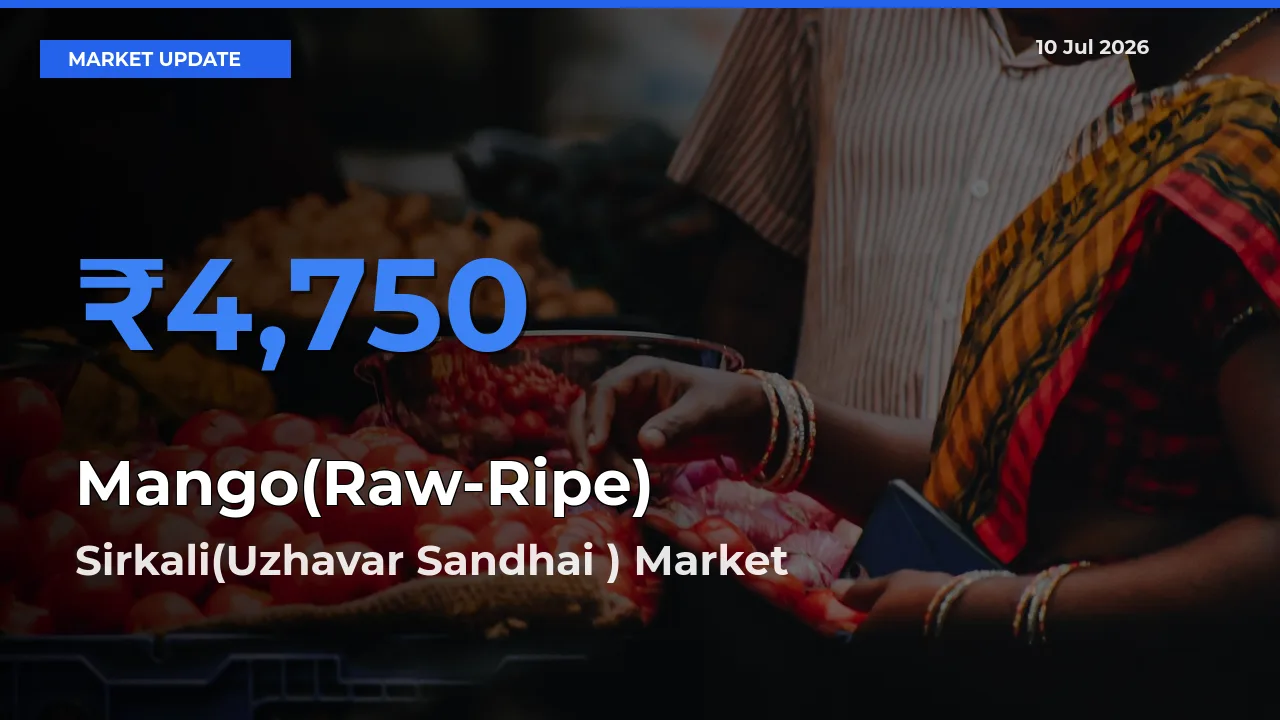 Farmers Prefer Sirkali(Uzhavar Sandhai ) as Mango(Raw-Ripe) Hits Highest Rate