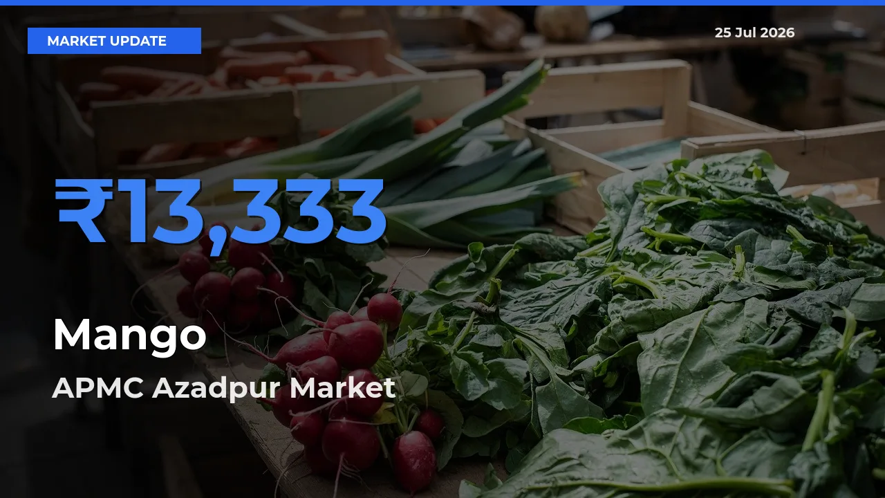 APMC Azadpur Offers ₹13,333 – Highest Mango Rate Today