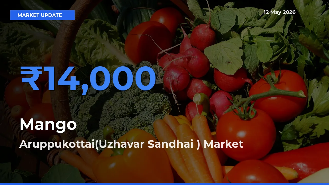 Farmers Prefer Aruppukottai(Uzhavar Sandhai ) as Mango Hits Highest Rate
