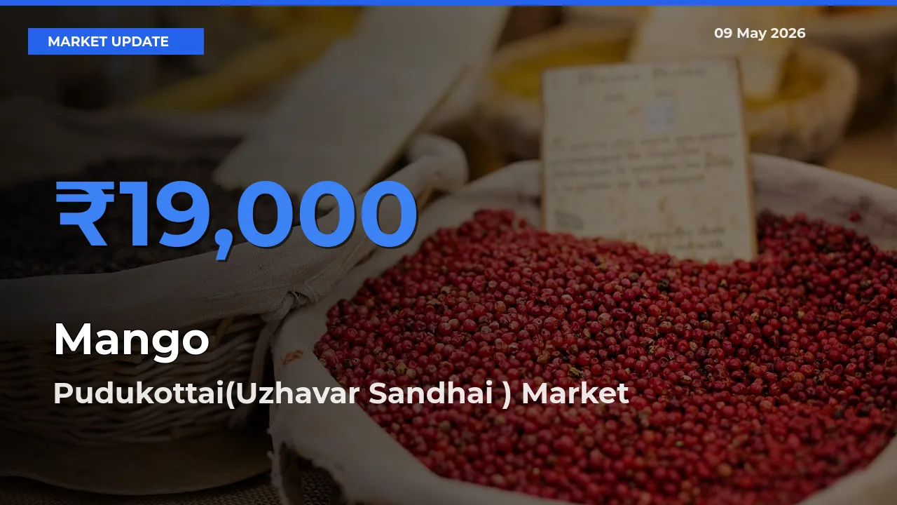 Pudukottai(Uzhavar Sandhai ) Tops Mango Rates – May 09 Market Update
