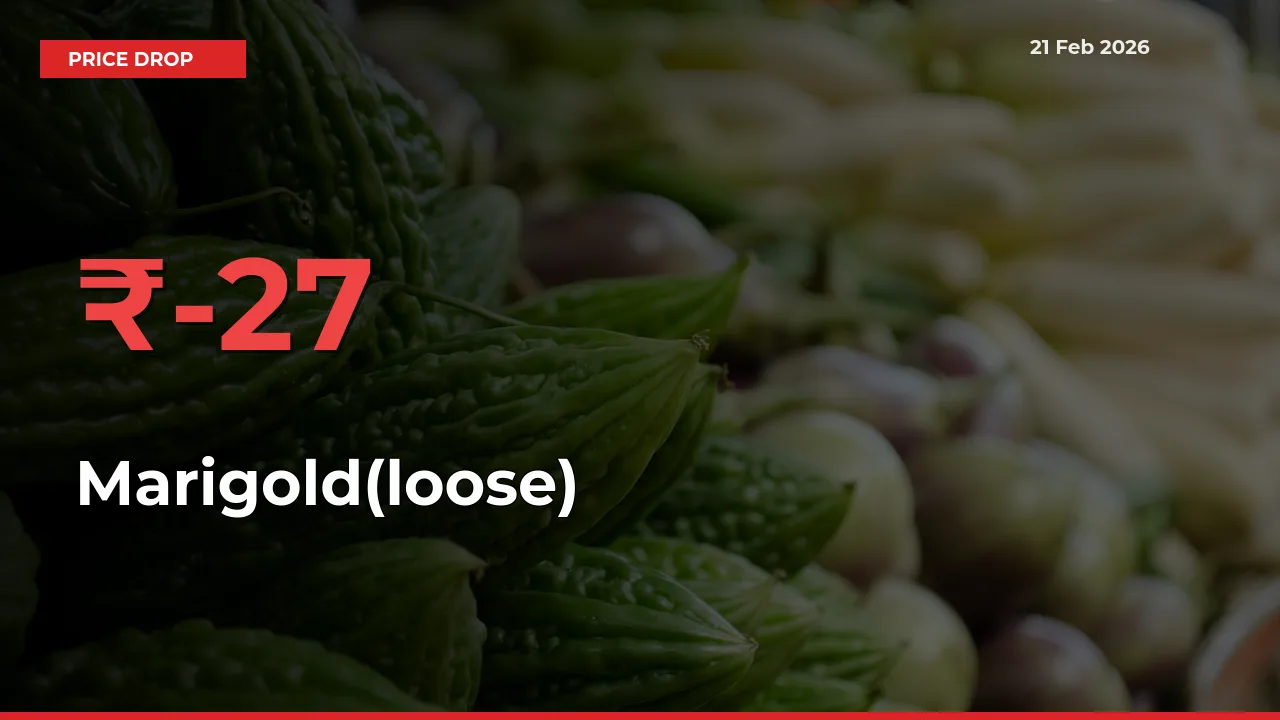 Marigold(loose) Prices Drop 26.67% in 24 Hours at Major Mandis