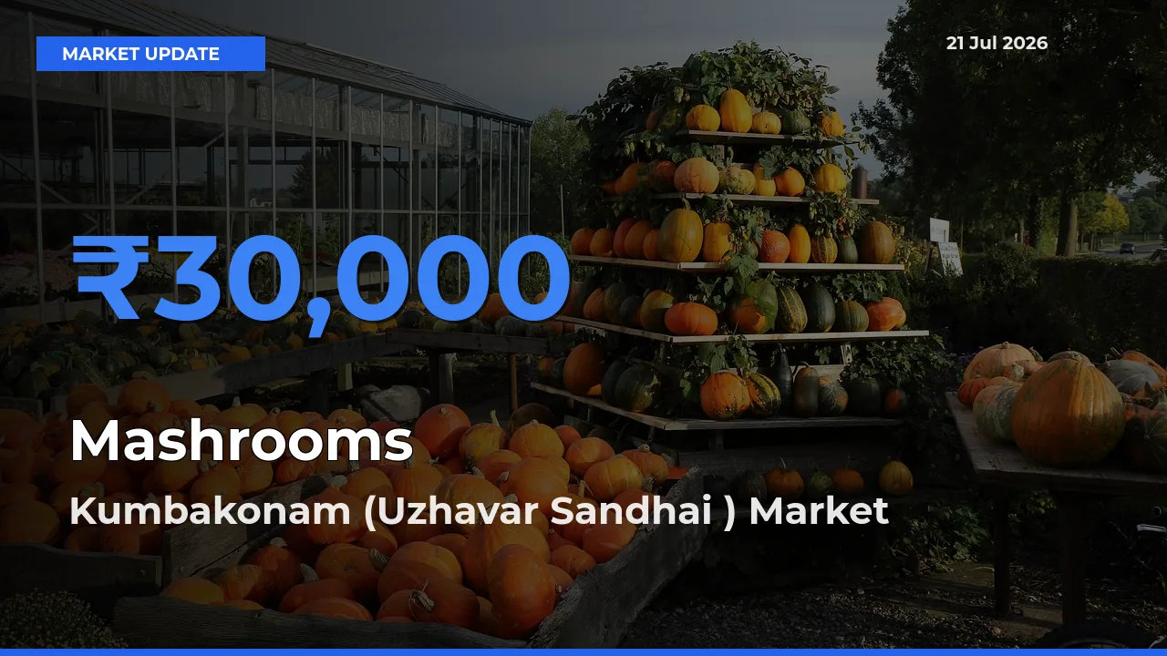 Market Watch: Kumbakonam (Uzhavar Sandhai ) Becomes Top Mandi for Mashrooms