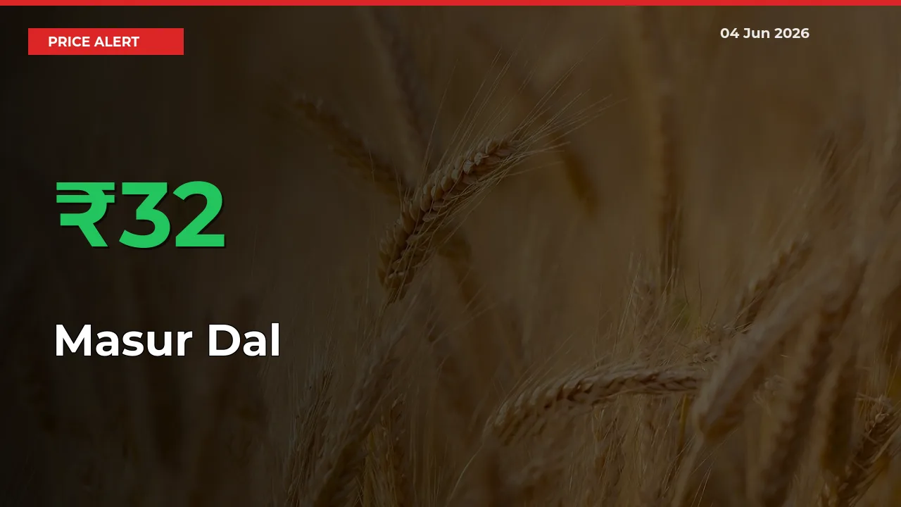Masur Dal Prices Rise 31.7% in a Day at Major Mandis