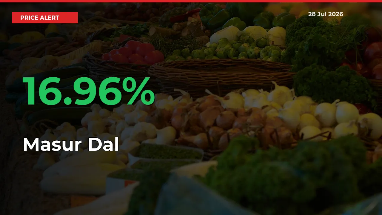 Big Rally! Masur Dal Climbs 16.96% in 24 Hours at Top Mandis