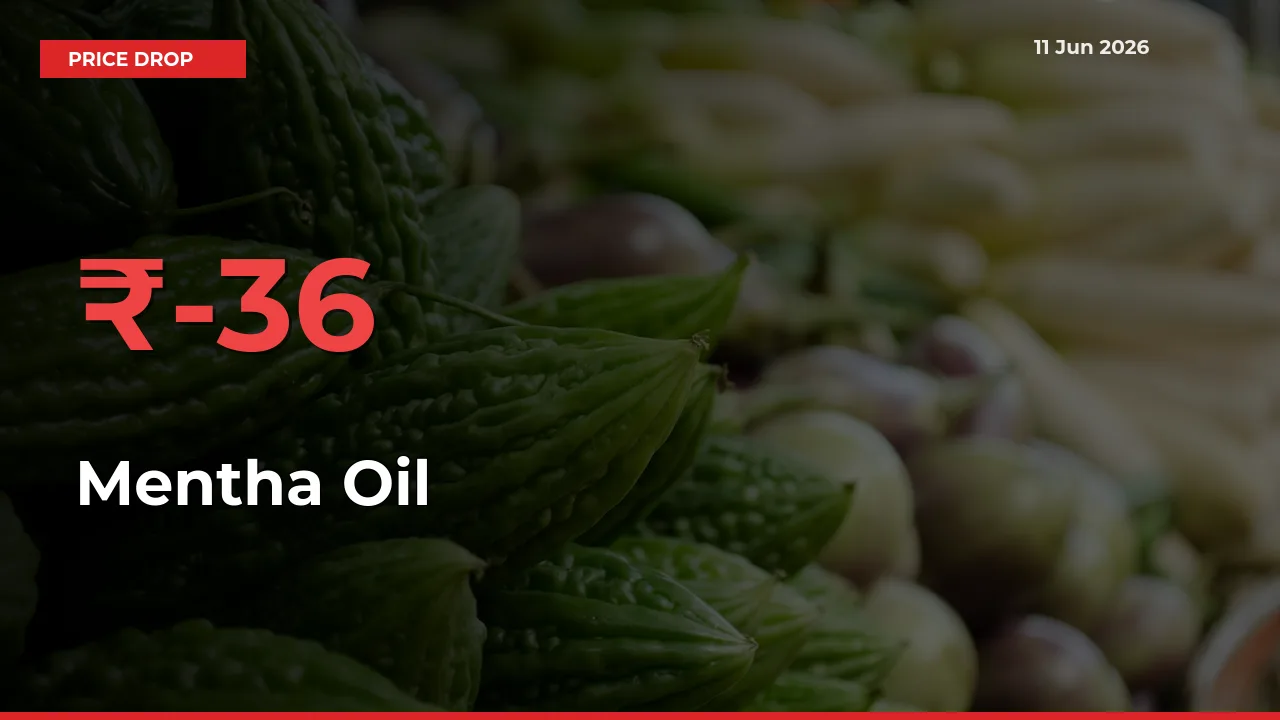 This Mandi Records 36.47% Fall in Mentha Oil Prices