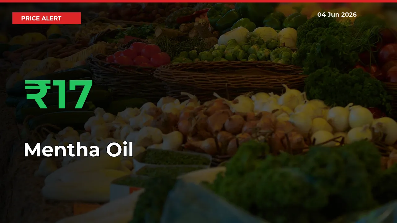 This Mandi Records 16.99% Jump in Mentha Oil Prices