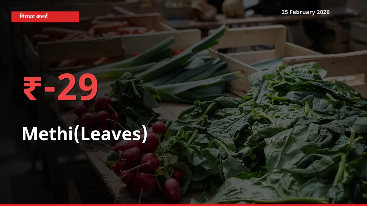 25 February अपडेट: Methi(Leaves) के दाम मंडी में 28.75% गिरे