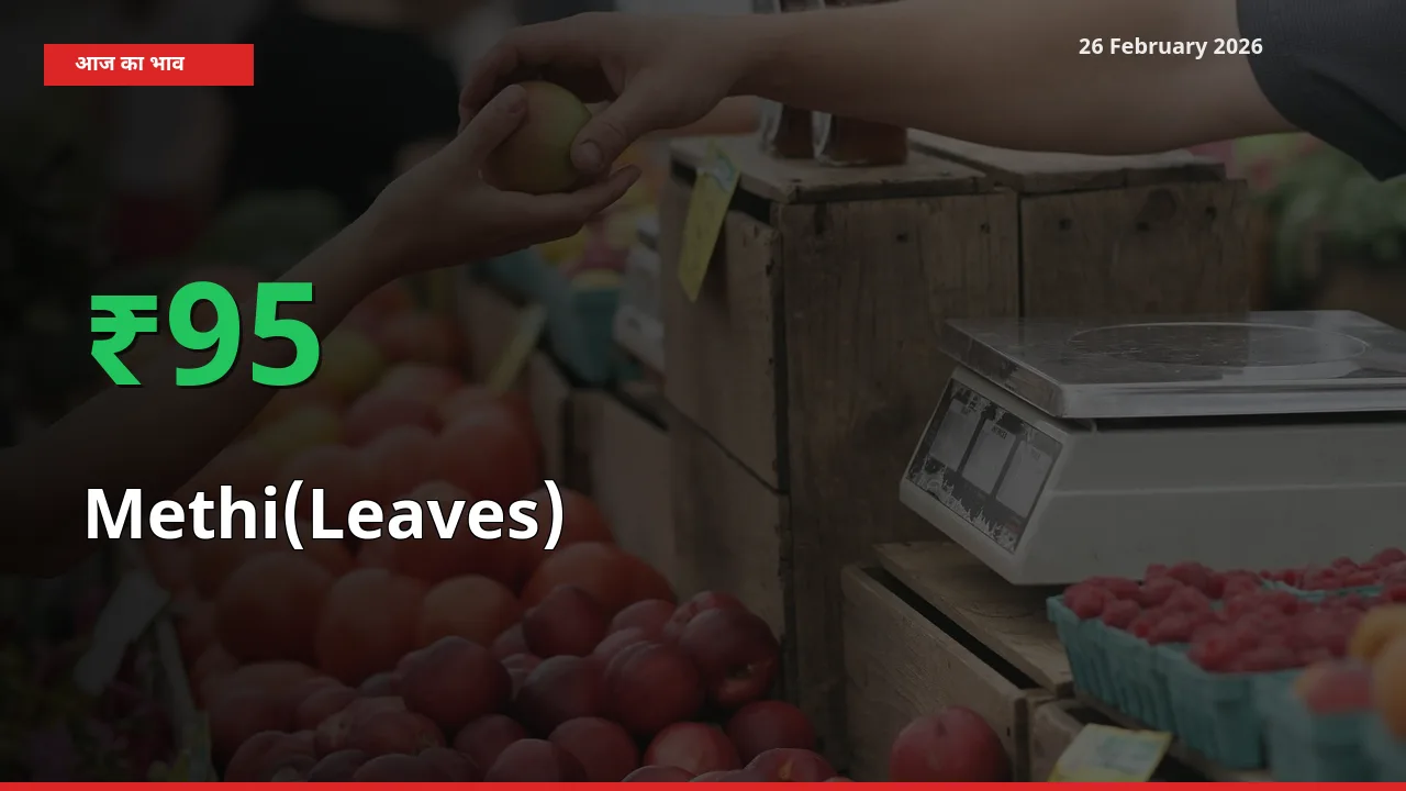 26 February अपडेट: Methi(Leaves) के दाम मंडी में 94.65% उछले