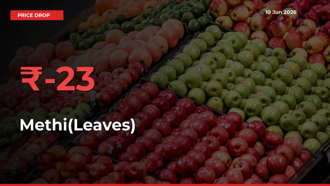 Farmers Alert as Methi(Leaves) Prices Slide 22.78% in Local Mandis