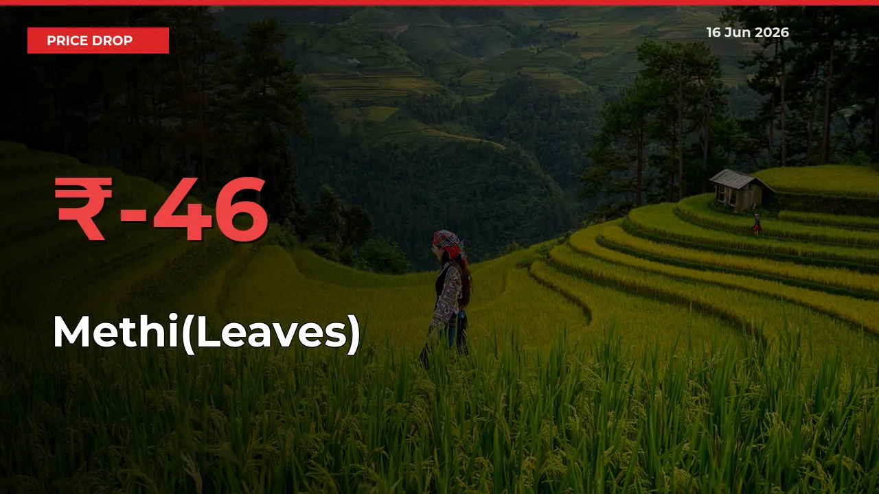 Methi(Leaves) Prices Drop 46.29% – June 16 Market Update from Mandis