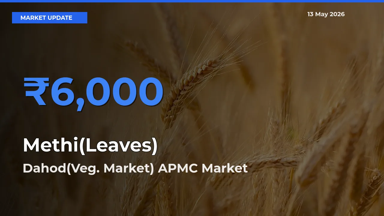 Dahod(Veg. Market) APMC Tops Methi(Leaves) Mandi Rates Today
