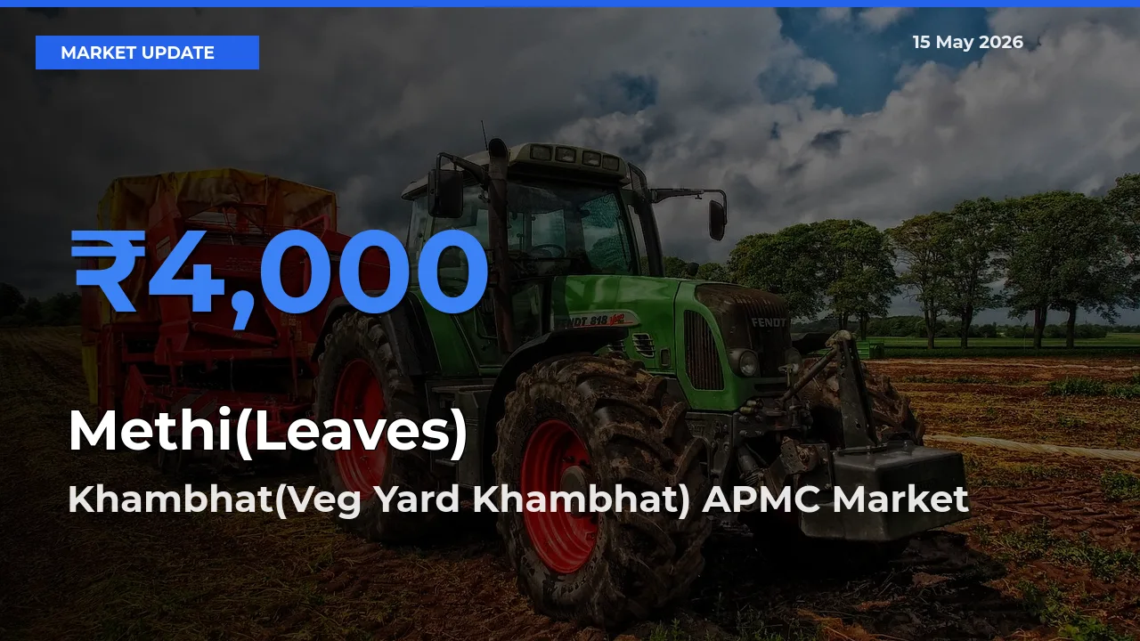 Khambhat(Veg Yard Khambhat) APMC Leads as Top Mandi for Methi(Leaves) Prices