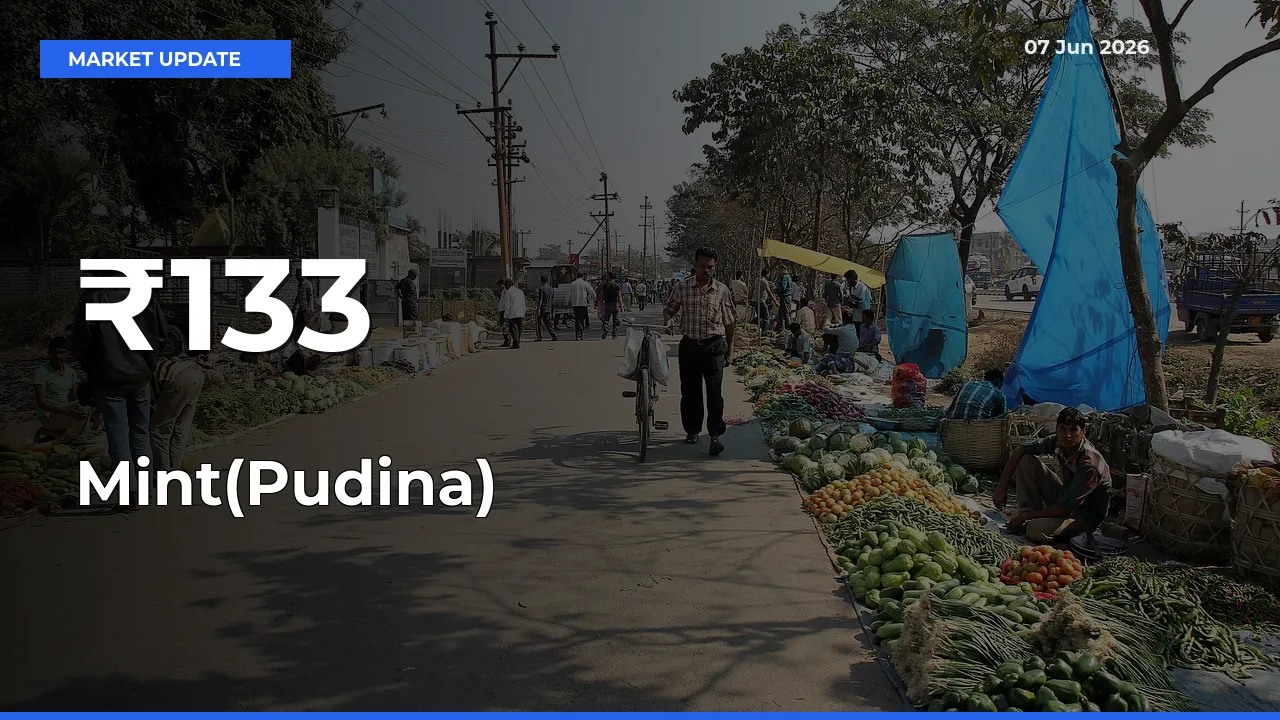 Why Mint(Pudina) Prices Are Moving Across Multiple Mandis Today