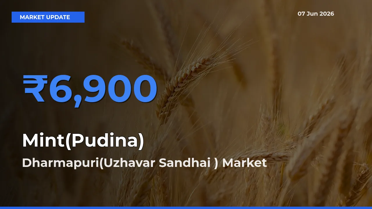 Dharmapuri(Uzhavar Sandhai ) Tops Mint(Pudina) Rates – June 07 Market Update