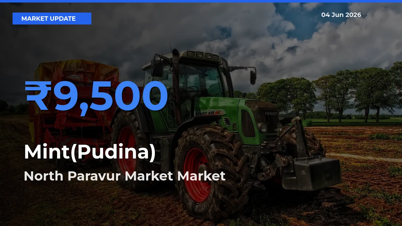 North Paravur Market Tops Mint(Pudina) Mandi Rates Today