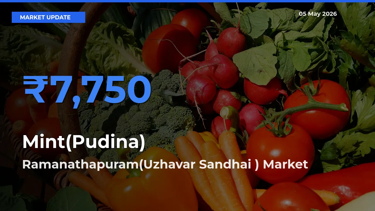 Top Performer! Ramanathapuram(Uzhavar Sandhai ) Offers Best Mint(Pudina) Price Today