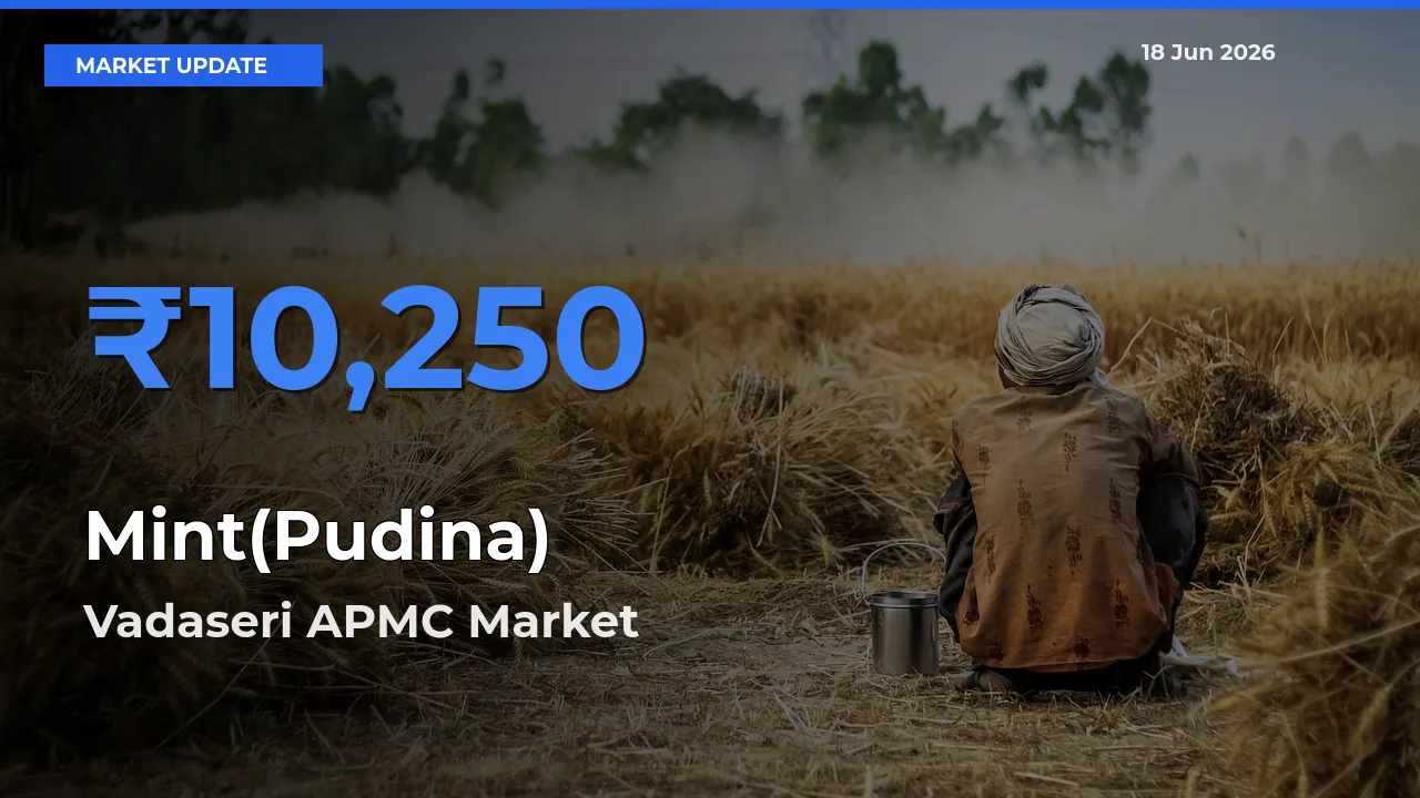 Vadaseri APMC Records Highest ₹10,250 Rate for Mint(Pudina)
