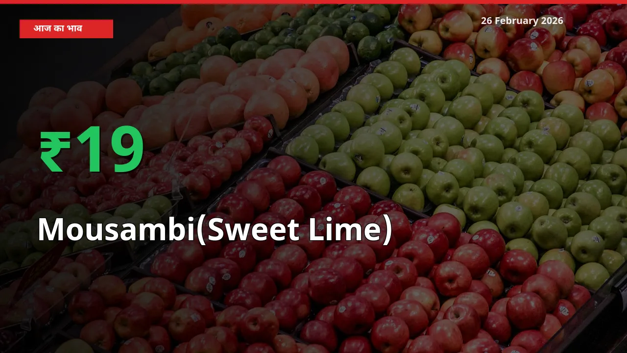 स्थानीय मंडी में Mousambi(Sweet Lime) के दाम अचानक 19.17% उछले, किसान सतर्क