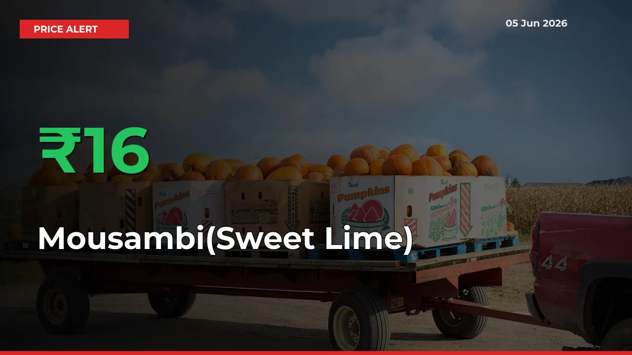 15.83% Spike in Mousambi(Sweet Lime) Prices – Mandi Sees Sudden Rally