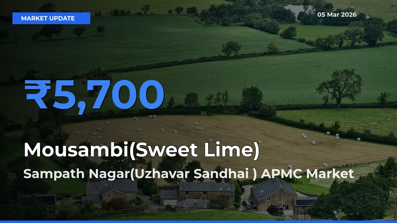 Sampath Nagar(Uzhavar Sandhai ) APMC Tops Mousambi(Sweet Lime) Mandi Rates Today