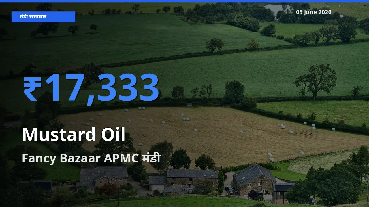 किसानों की पसंद बना Fancy Bazaar APMC, सरसों का तेल के सबसे अच्छे दाम