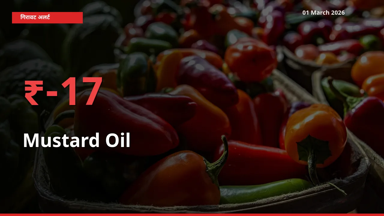 स्थानीय मंडी में Mustard Oil के दाम अचानक 16.81% गिरे, किसानों की चिंता बढ़ी