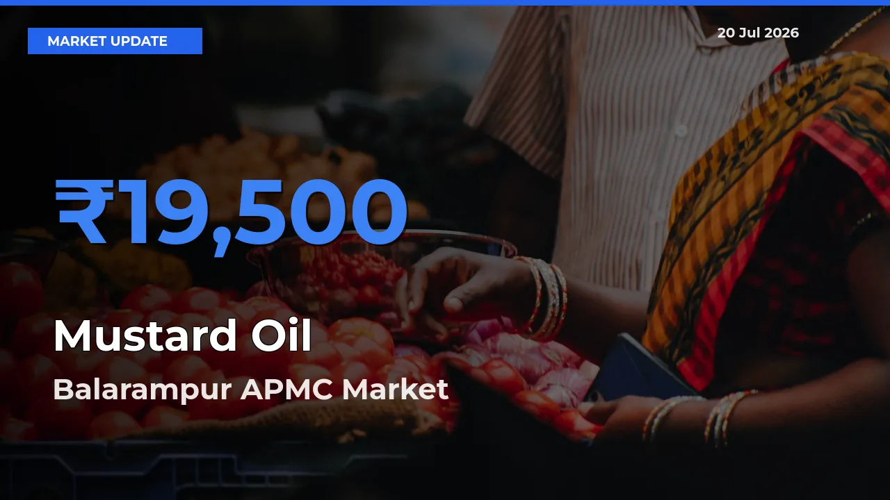 Top Performer! Balarampur APMC Offers Best Mustard Oil Price Today