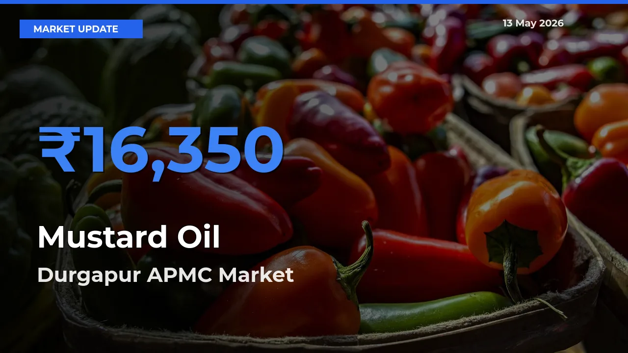 Durgapur APMC Tops Mustard Oil Mandi Rates Today