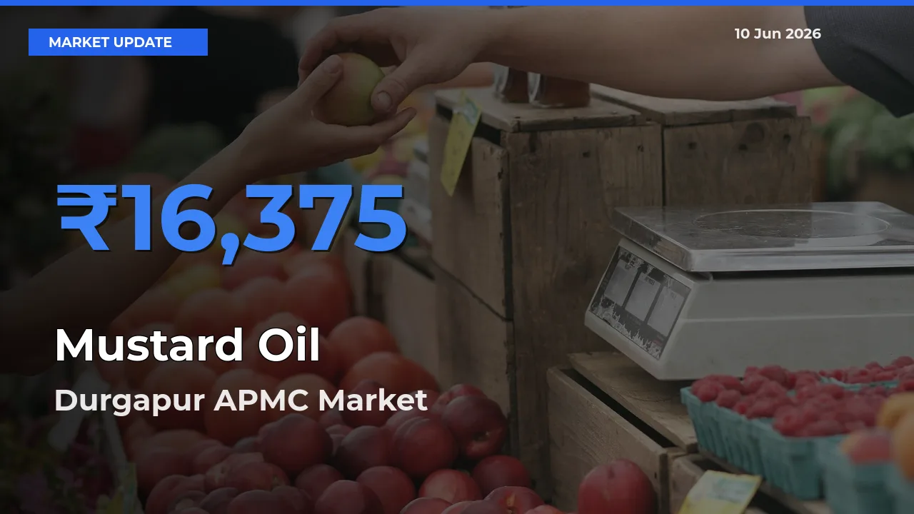 Durgapur APMC Offers ₹16,375 – Highest Mustard Oil Rate Today