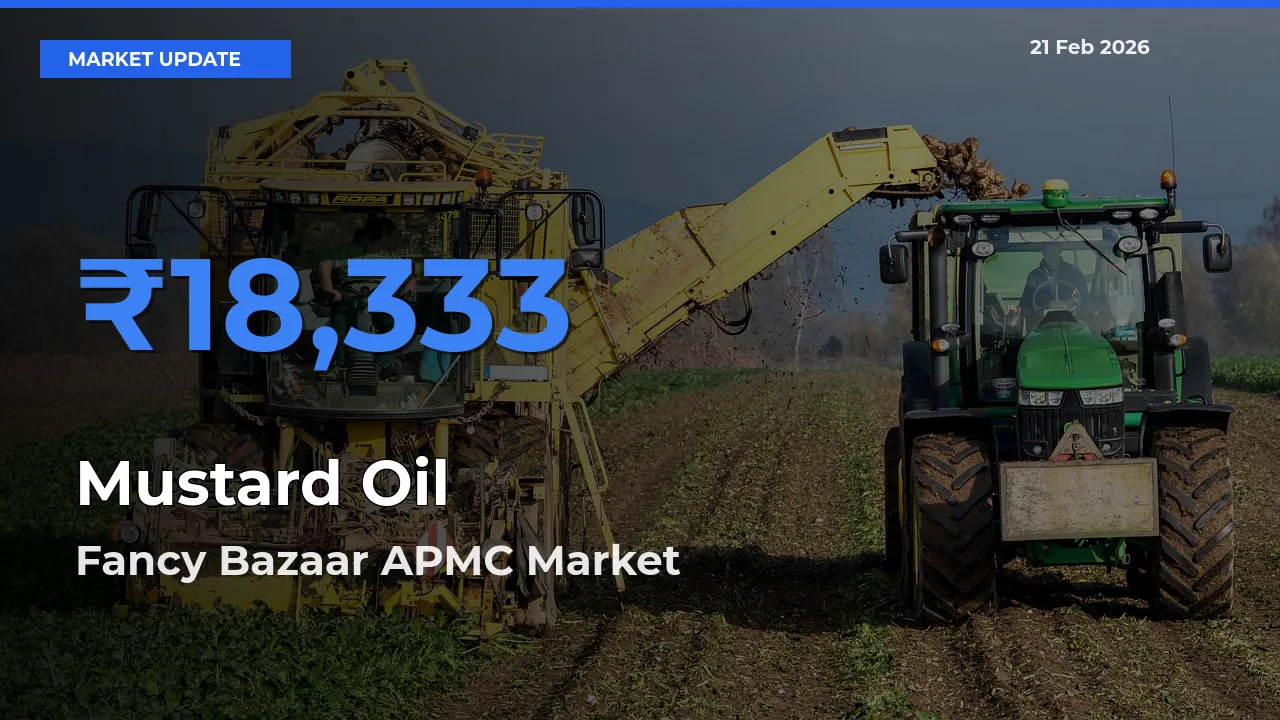 Fancy Bazaar APMC Records Highest ₹18,333 Rate for Mustard Oil