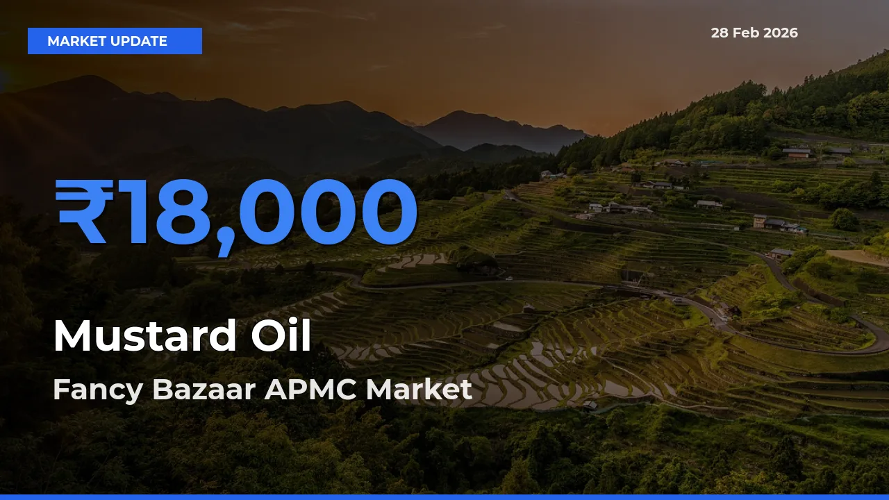 Fancy Bazaar APMC Emerges as Top Mandi for Mustard Oil Prices Today