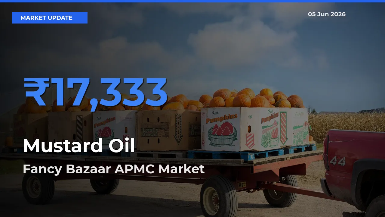 Top Performer! Fancy Bazaar APMC Offers Best Mustard Oil Price Today