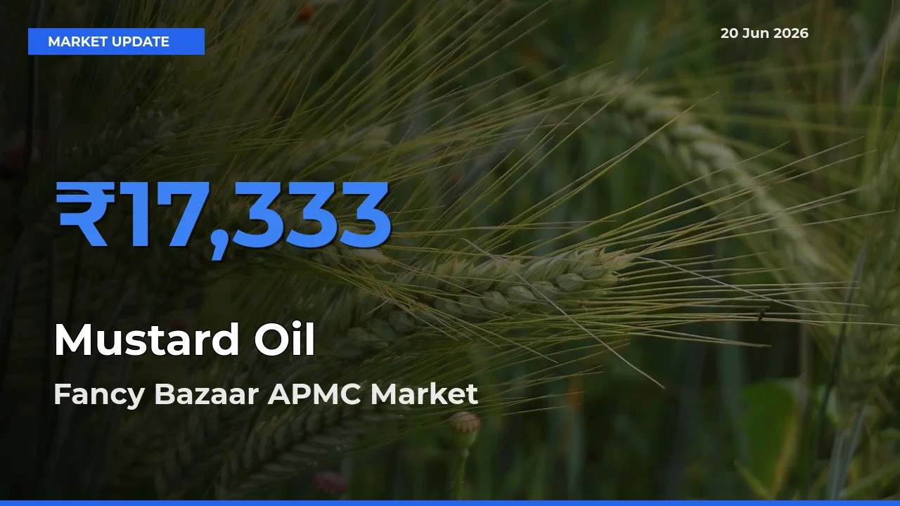 Top Performer! Fancy Bazaar APMC Offers Best Mustard Oil Price Today