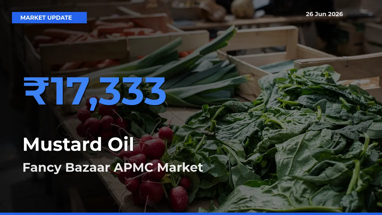 Fancy Bazaar APMC Records Highest ₹17,333 Rate for Mustard Oil