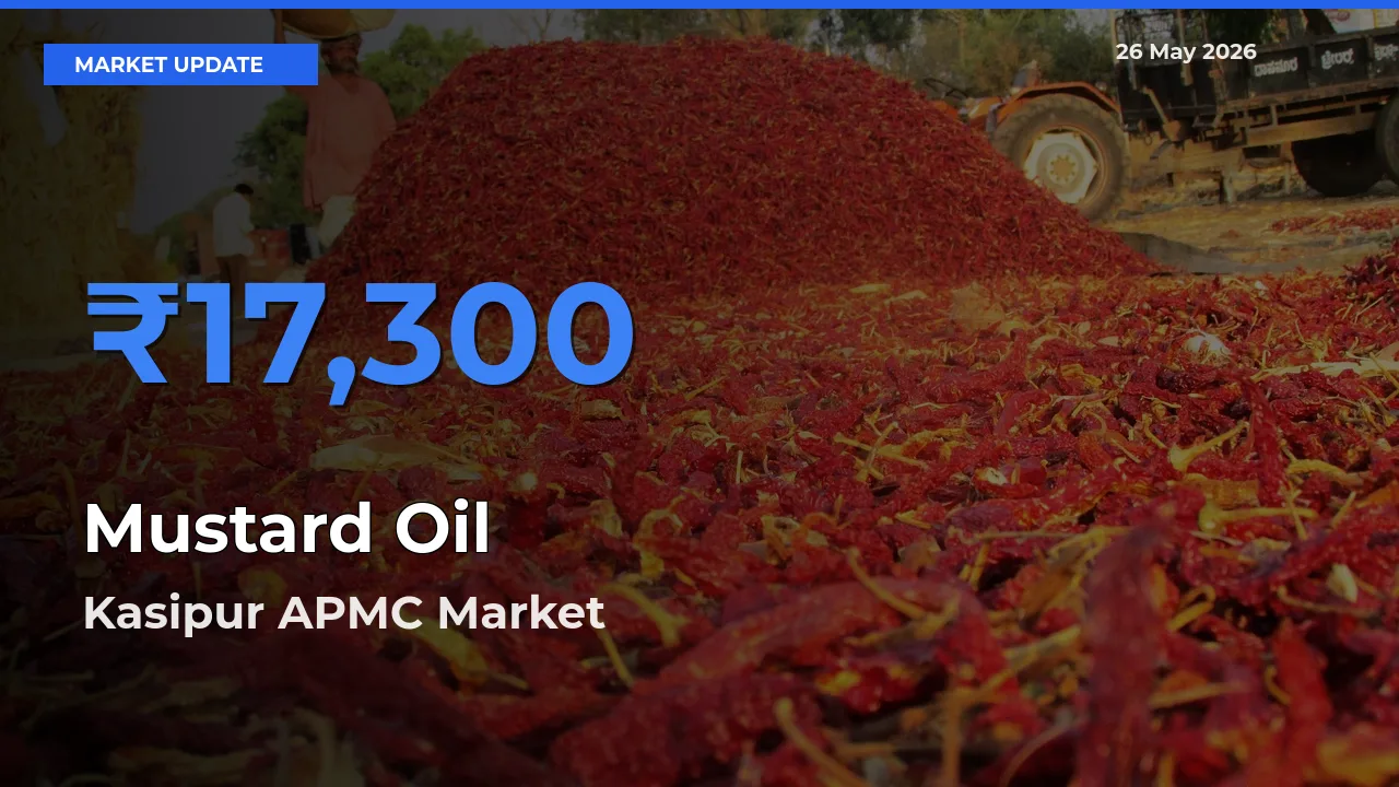 Kasipur APMC Leads as Top Mandi for Mustard Oil Prices