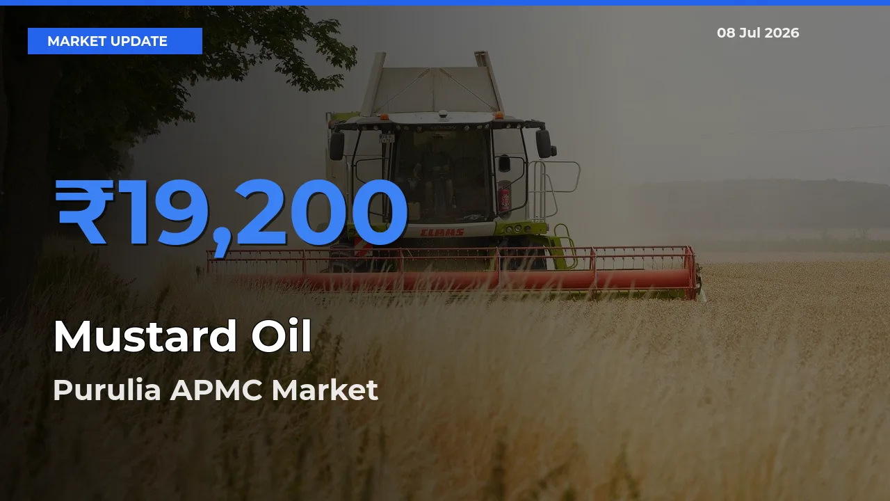 Purulia APMC Leads as Top Mandi for Mustard Oil Prices