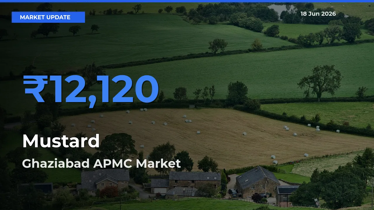 Ghaziabad APMC Records Highest ₹12,120 Rate for Mustard
